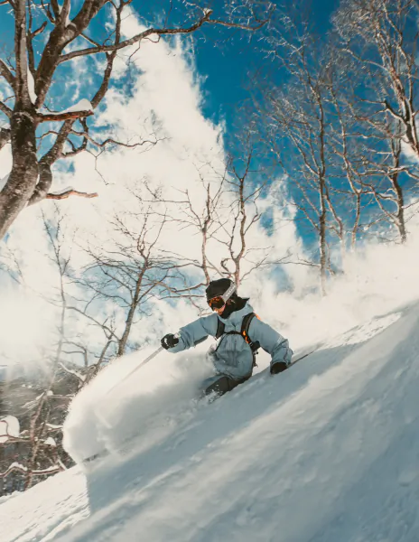 Skier in light blue jacket carving through deep powder snow on a sunny mountain slope with bare trees
