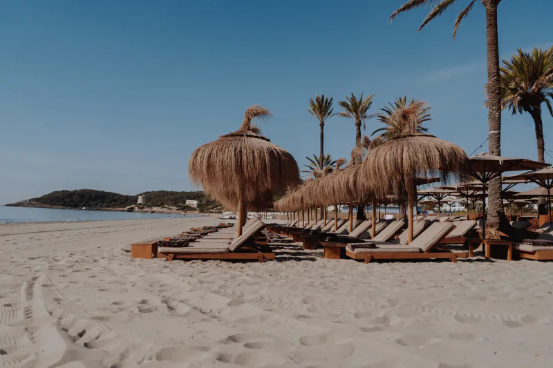 Row of thatched umbrellas and lounge chairs on a sandy beach with palm trees and blue sky
