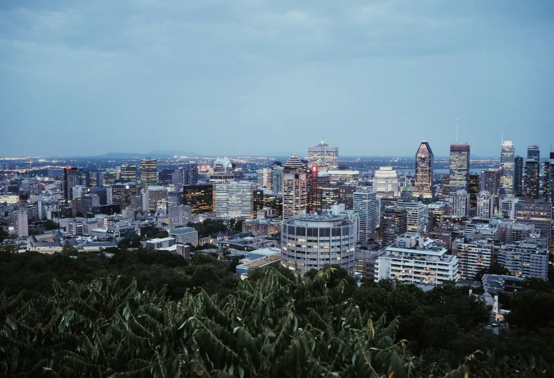 Dusk view of Montreal skyline from Mount Royal, city lights glowing under overcast sky with dense green foliage in foreground
