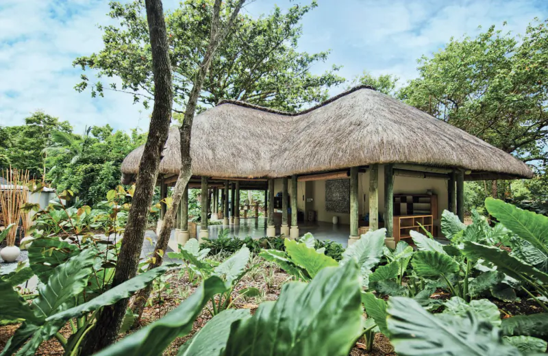 Luxury thatched-roof villa with open-air lounge surrounded by lush tropical garden and trees