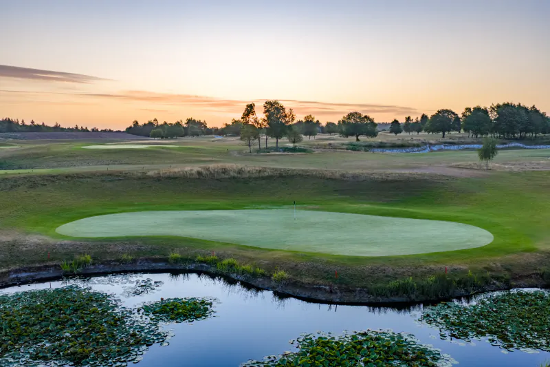 Golf green with flagstick at dusk, surrounded by water with lily pads and trees under a sunset sky