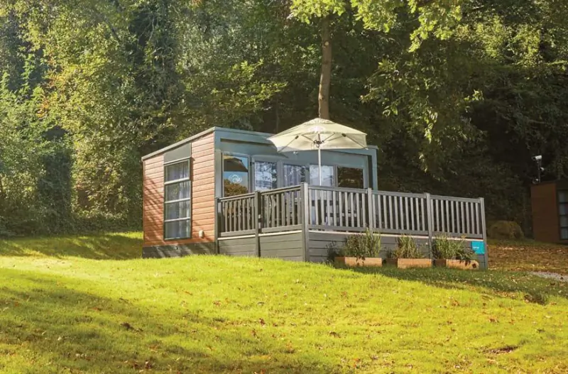 Wooden glamping cabin with grey deck, patio umbrella and potted plants on sunny lawn surrounded by trees