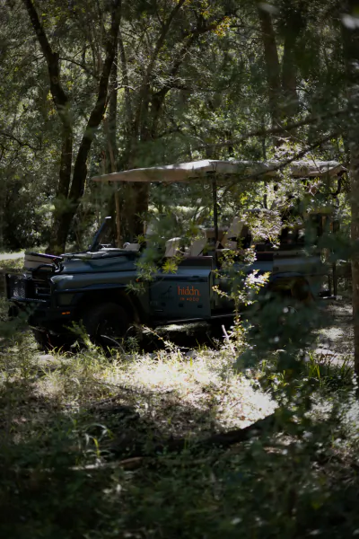 Safari vehicle with Hiddn logo driving through dense forest in South Africa