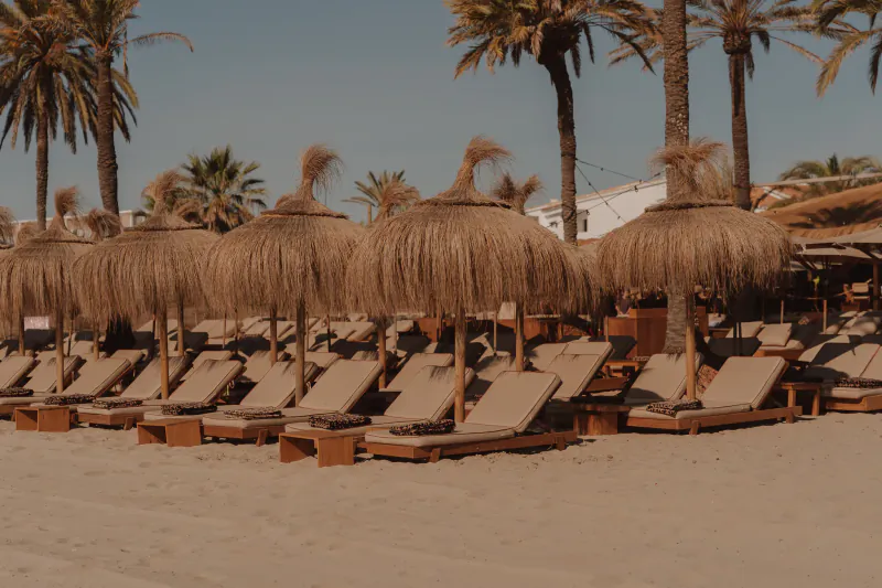 Rows of empty lounge chairs with thatched umbrellas on a sandy beach lined with palm trees