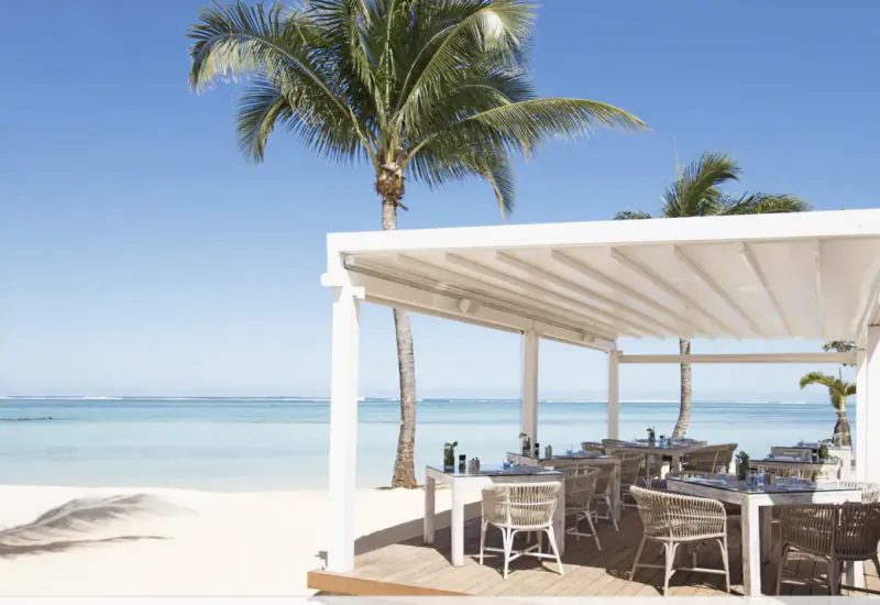 Beachfront restaurant with white pergola, wicker chairs, and palm trees overlooking turquoise ocean under clear blue sky
