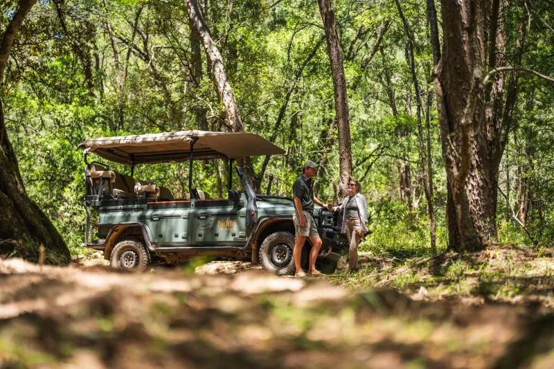 Two men stand beside a green safari vehicle on a forest trail in South Africa