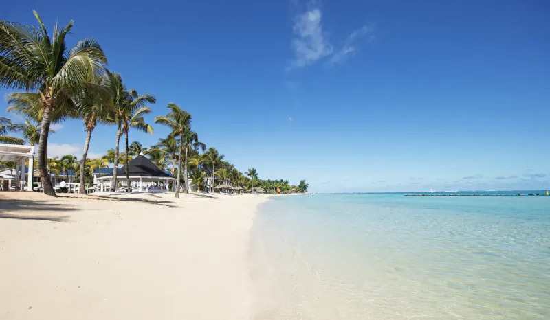 Tropical beach with palm trees, white sand, and turquoise water at Heritage The Villas Mauritius resort