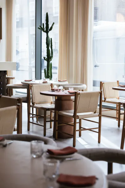 Modern restaurant interior with round tables, beige chairs, and a tall cactus by large windows