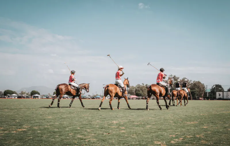 Polo players on brown horses galloping across a green field, holding mallets during a match