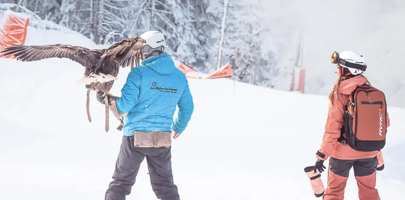 Person in blue jacket holding large eagle with wings spread on snowy mountain slope, another skier in orange jacket watching