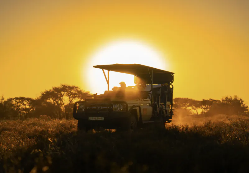Safari vehicle driving through golden savanna at sunset with two passengers under canopy