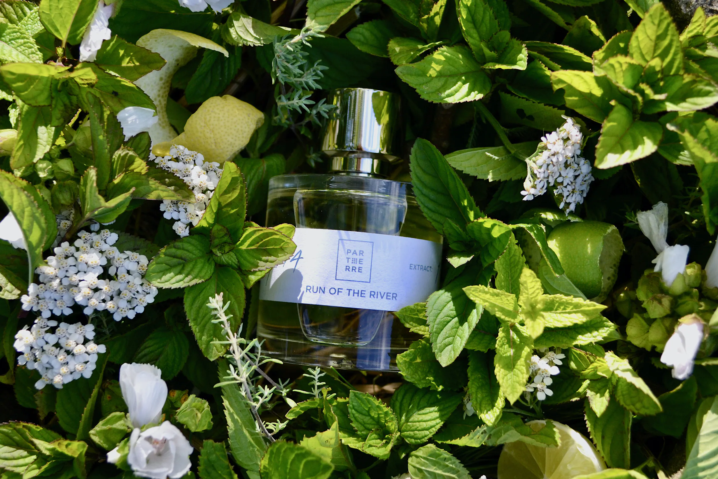 Parterre Fragrances 'Run of the River' perfume bottle nestled among green mint leaves and white flowers