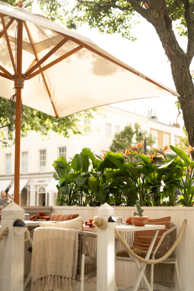 Outdoor patio with white umbrella, woven chairs, and lush plants on a sunny London street