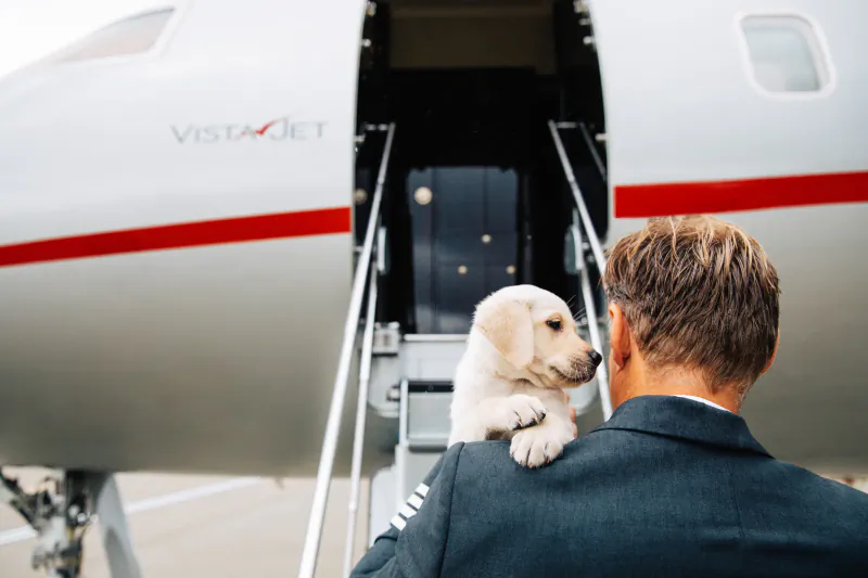 Man in pilot uniform carrying a yellow Labrador puppy on his shoulder in front of a VistaJet private jet